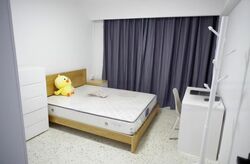 teck-ghee-evergreen photo thumbnail #4